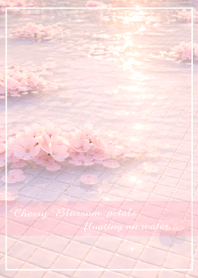 Cherry blossom petals floating on water