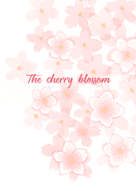 The cherry blossom bloomed.