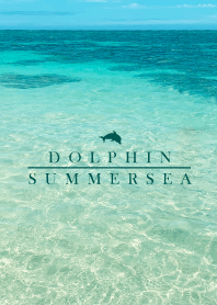 SUMMER SEA -DOLPHIN- 5