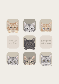 CATS - American Shorthair - GREEN GRAY