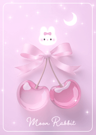pinkpurple Love Moon Rabbit 05_1