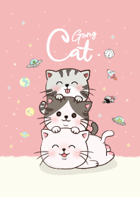 แมวน้อยน่ารักสามตัว