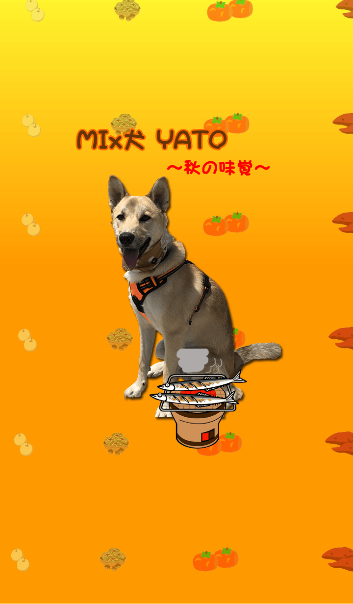 Mixed dog YATO The taste of autumn