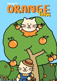 Meow's orange farm