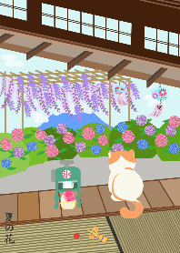 日本庭院系列 4-日本和風庭院跟貓-夏天