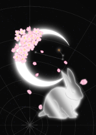 moon zodiac rabbit Aries 2023