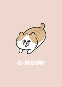 Q-meow6 - sea shell