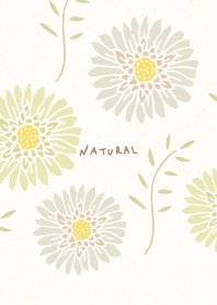 Adult color flowers leaves30 from Japan