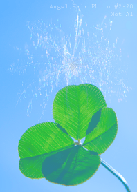 Angel Hair Photo #2-20Not AI