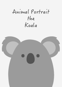 Animal Portrait - The Koala