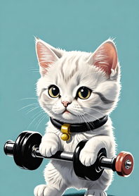 แมวฟิตเนส FQrN8