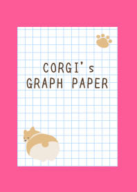 CORGI's GRAPH PAPER-FLASHY PINKj