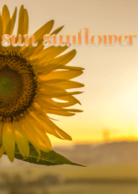 sun sunflower ver.3