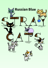 STRAY CATS -Russian Blue-
