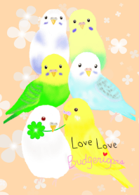 Love Budgerigar