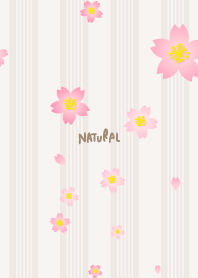 Cherry blossom dance season21 from Japan