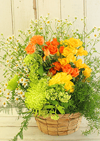 theme【flower】37