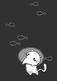 staring - with fish