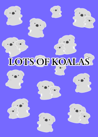 LOTS OF KOALAS/BLUE PURPLE