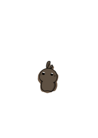 rabbit staring - still