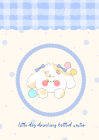 little dog drinking bottled water