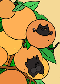 Black Cat Love Orange