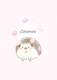 Hedgehog and Cosmos* -pink-