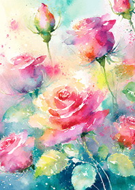 Beautiful rose flower(R2257)