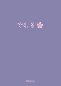 簡單 粉 櫻花盛開