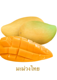 Thai Mango 4