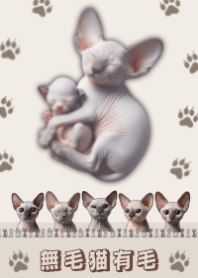 Realistic facial_lb-Hairless Cat has Fur