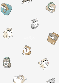 neko combo5 / white smoke