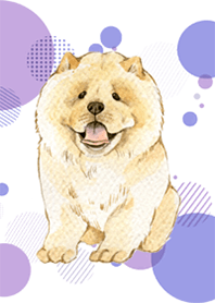 Chow Chow by Ystudio