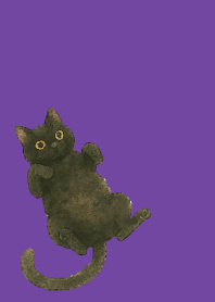 Relaxing black cat on purple