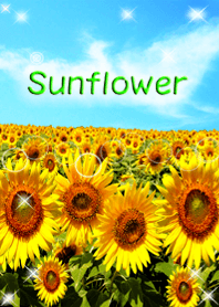 sunflower in the sky!4