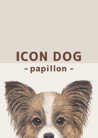 ICON DOG - Papillon - BROWN/04