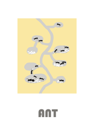 Ant nest world