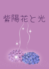 紫陽花とやさしい光