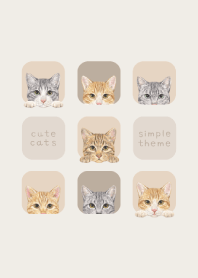 CATS - Mixed breed cat 03 - BEIGE GRAY
