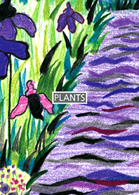 PLANT 011