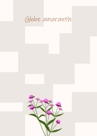 September's birth flower, Globe amaranth