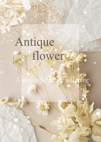 World of Antique Dried Flower2.