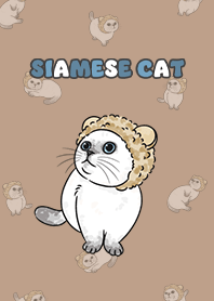 siamesecat6 / light mocha