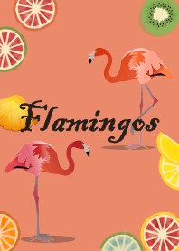フラミンゴ + サーモンピンク