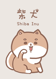 可愛寶貝柴犬 3
