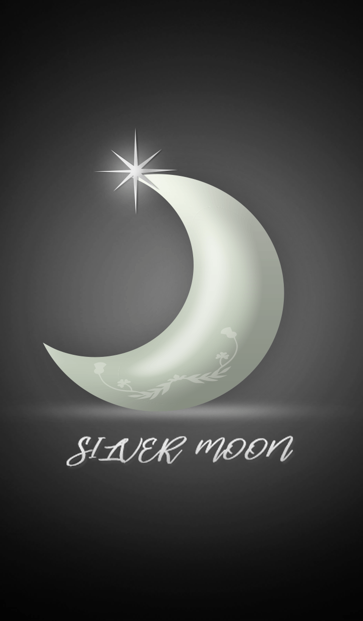 Silver Moon at night
