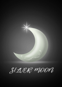Silver Moon at night
