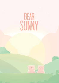 Happy bear in beautiful sunset
