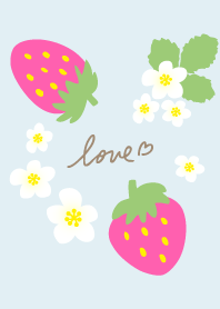 strawberries and flowers26 from Japan