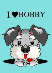 I Love Bobby